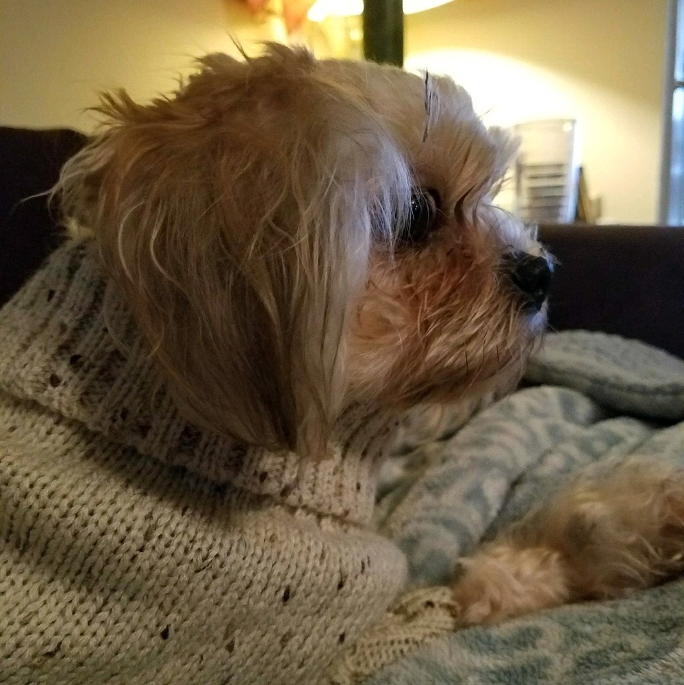 Meet your Posher, Eric